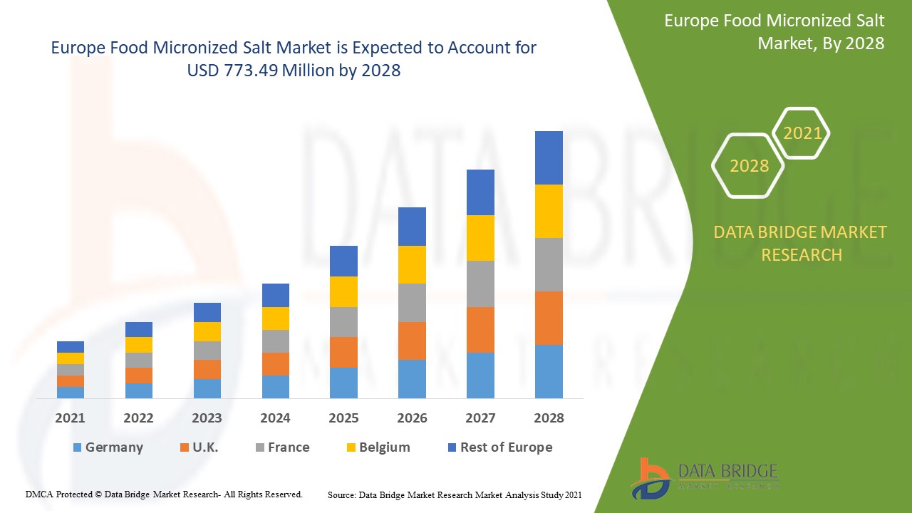 Europe Food Micronized Salt Market