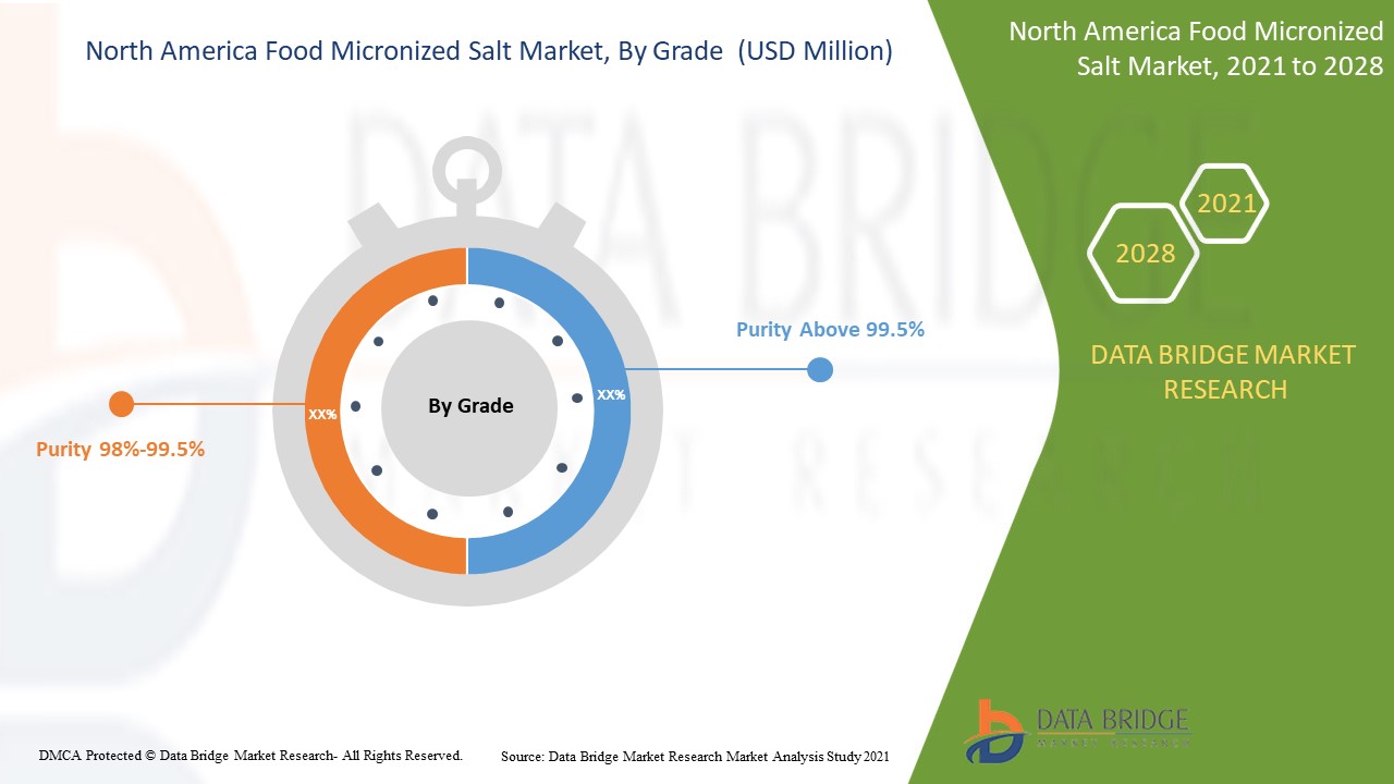 North America Food Micronized Salt Market
