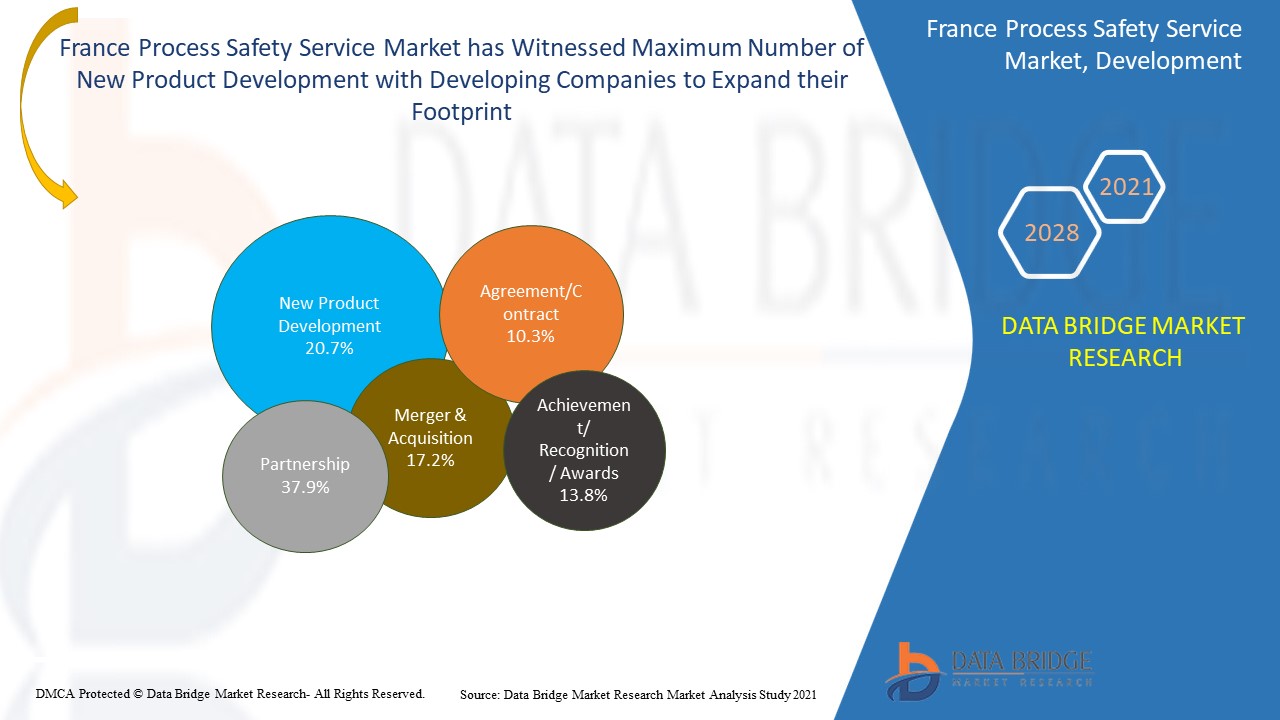 France Process Safety Service Market