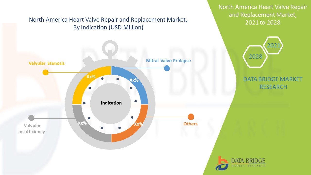 North America Heart Valve Repair and Replacement Market 