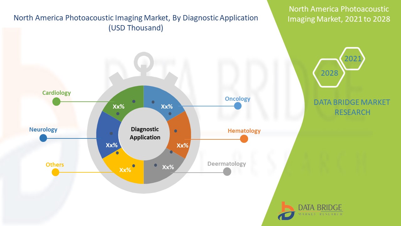 North America Photoacoustic Imaging Market 
