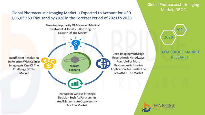 Photoacoustic Imaging Market 
