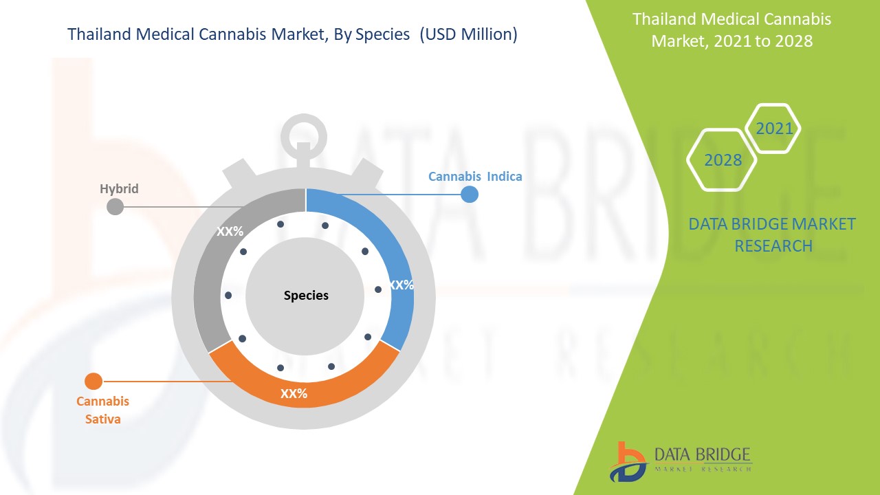 Thailand Medical Cannabis Market