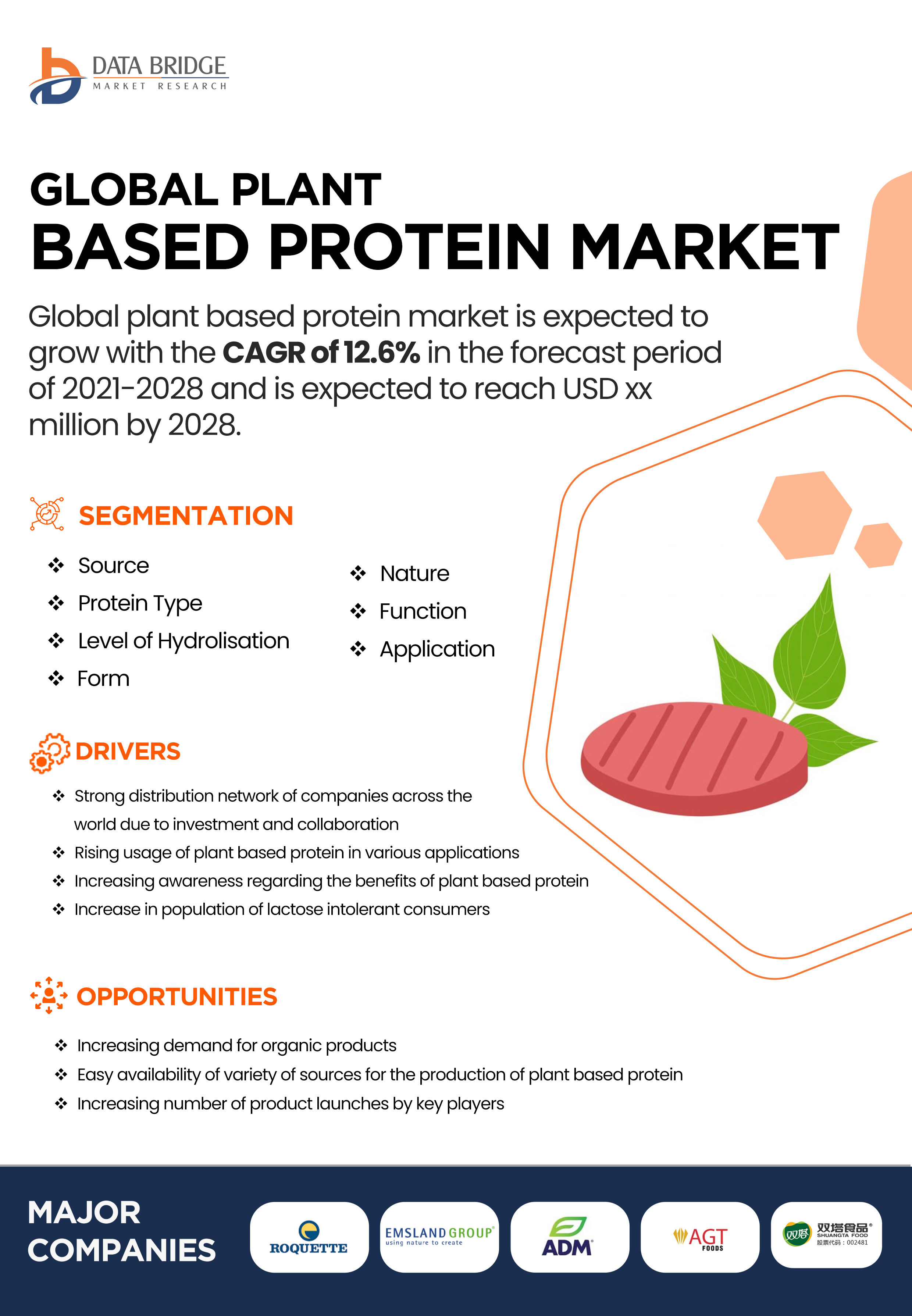 Plant Based Protein Market