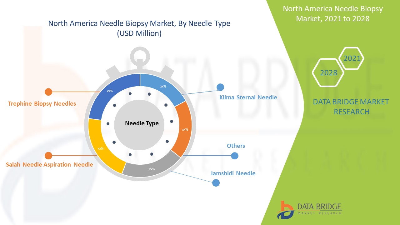 North America Needle Biopsy Market 