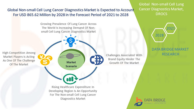 Non-small Cell Lung Cancer Diagnostics Market 