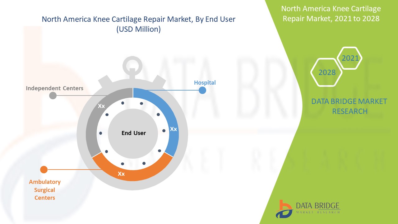 North America Knee Cartilage Repair Market 