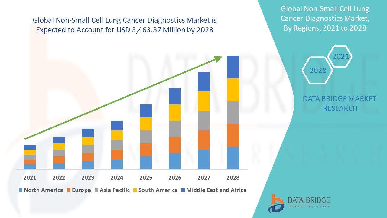 Non-Small Cell Lung Cancer Diagnostics Market 