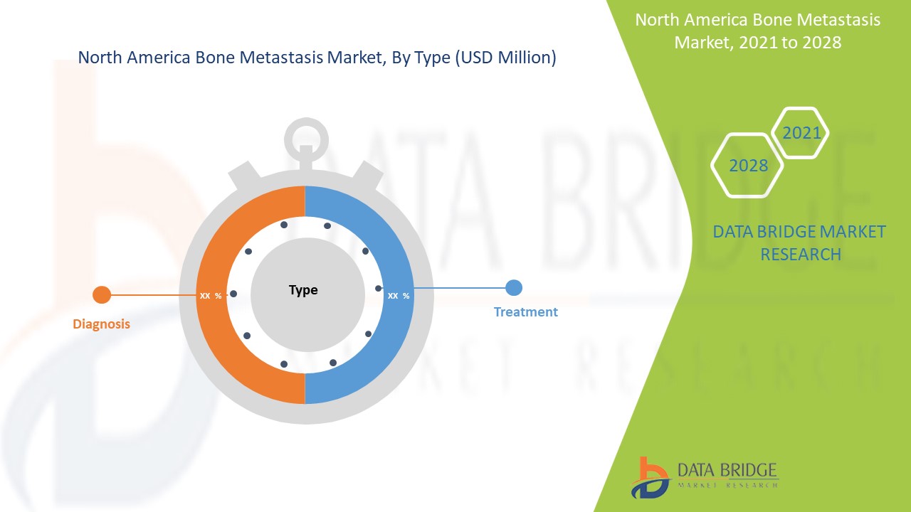 North America Bone Metastasis Market 