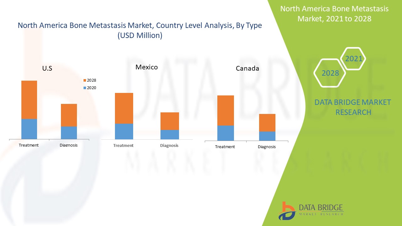 North America Bone Metastasis Market 