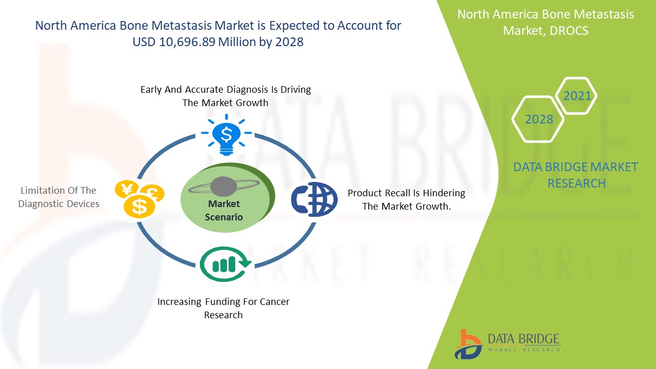  North America Bone Metastasis Market
