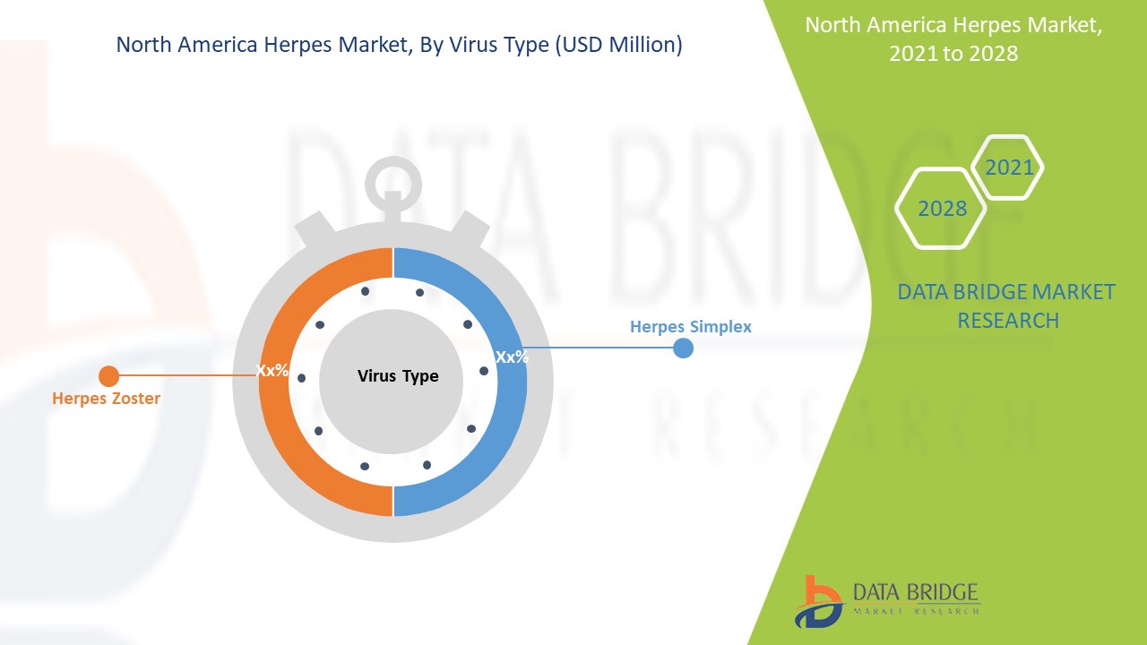 North America Herpes Market 