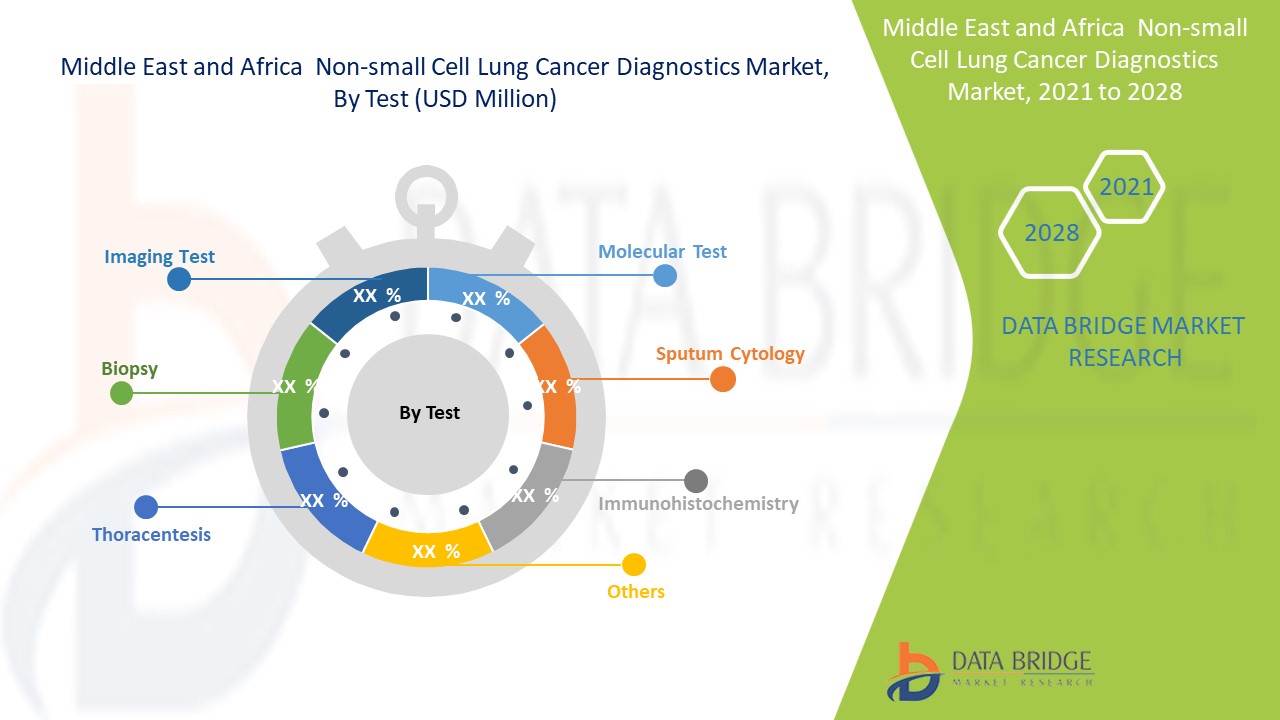 Middle East And Africa Non-Small Cell Lung Cancer Diagnostics Market 