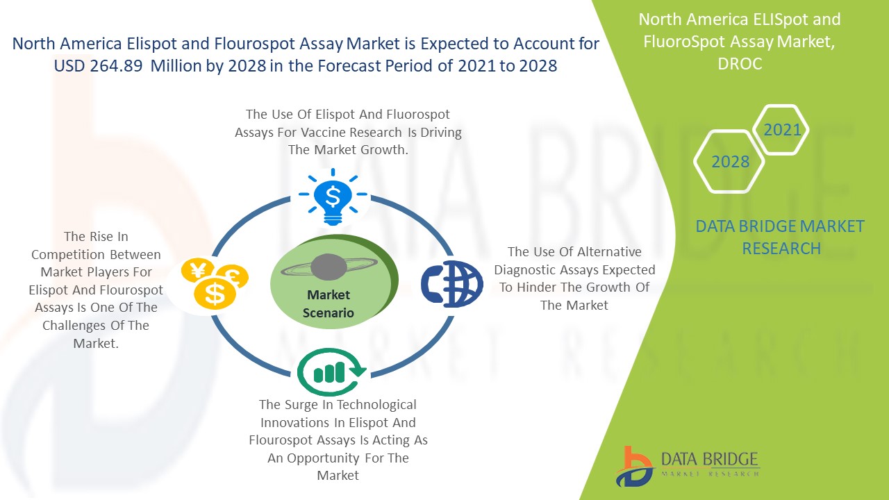  North America ELISpot and FluoroSpot Assay Market