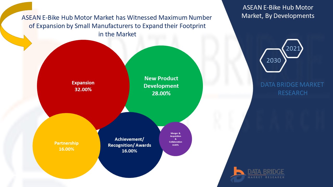 ASEAN E-Bike Hub Motor Market 