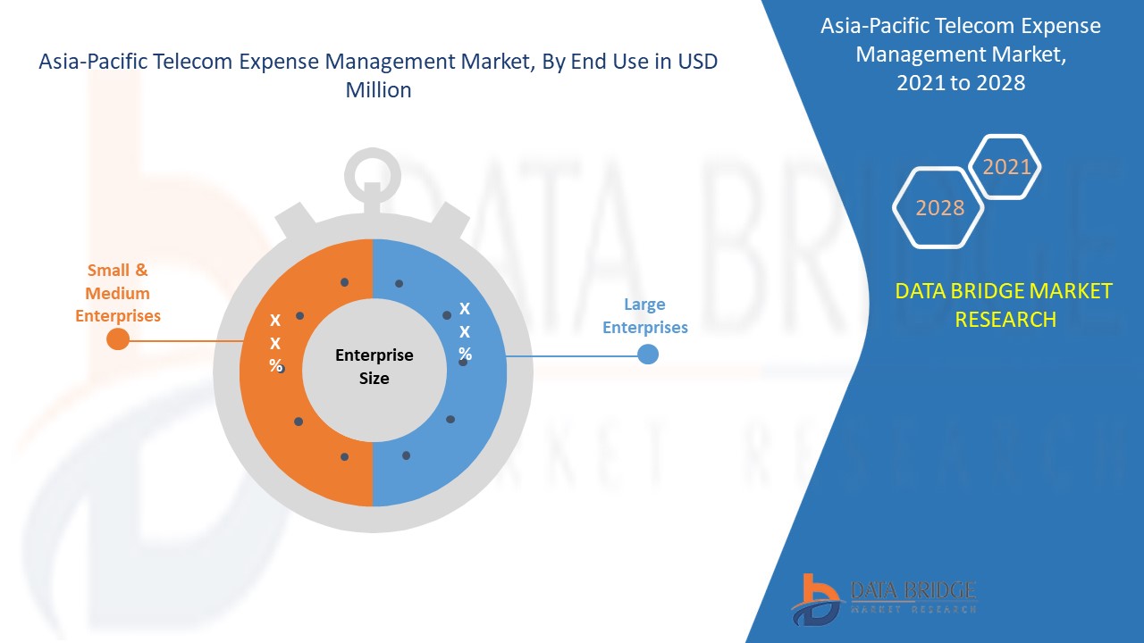 Asia Pacific Telecom Expense Management Market 