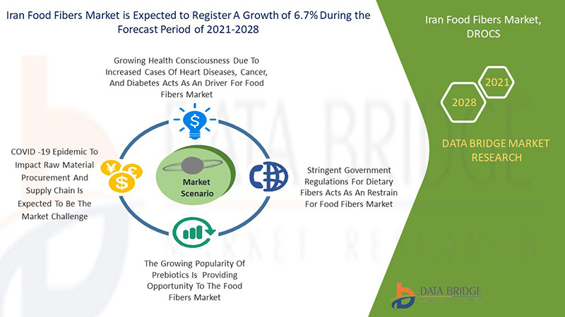 Iran Food Fibers Market 