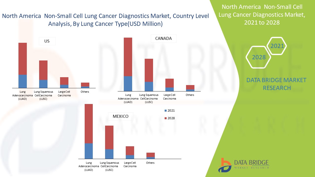 https://www.databridgemarketresearch.com/reports/north-america-non-small-cell-lung-cancer-diagnostics-market