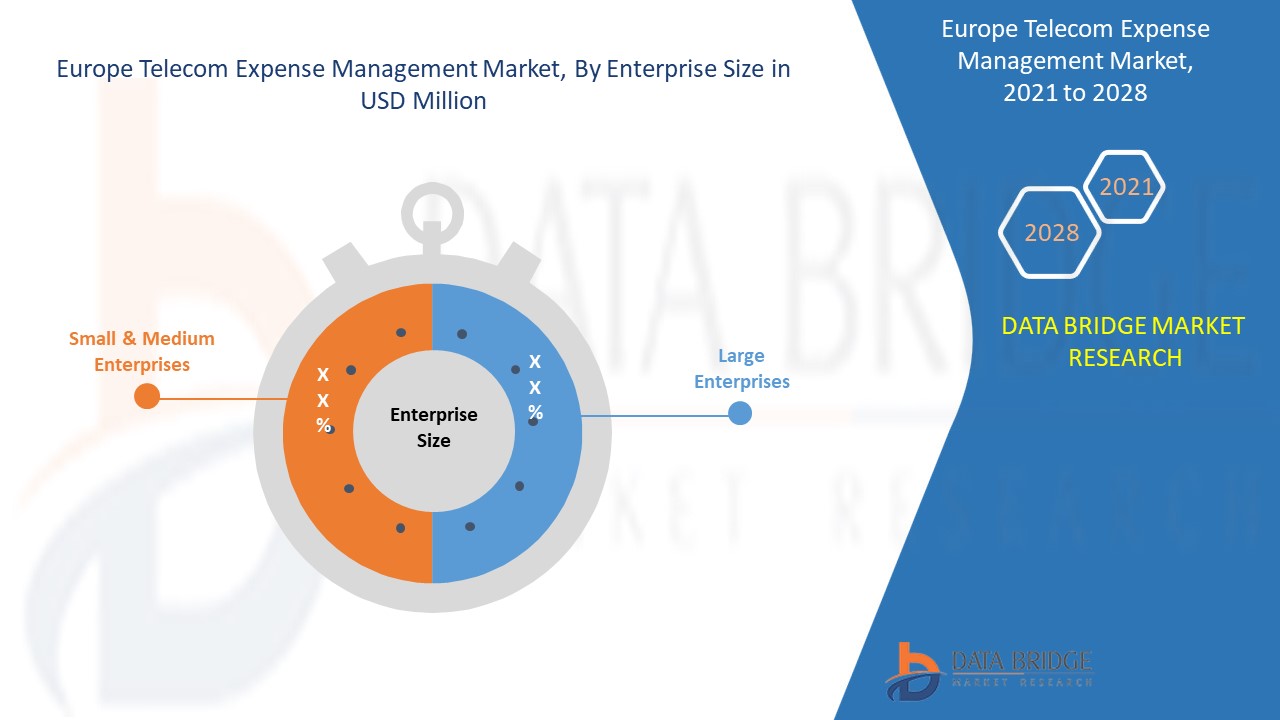 Europe Telecom Expense Management Market 