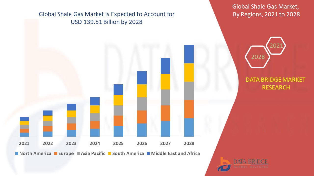 Shale Gas Market 