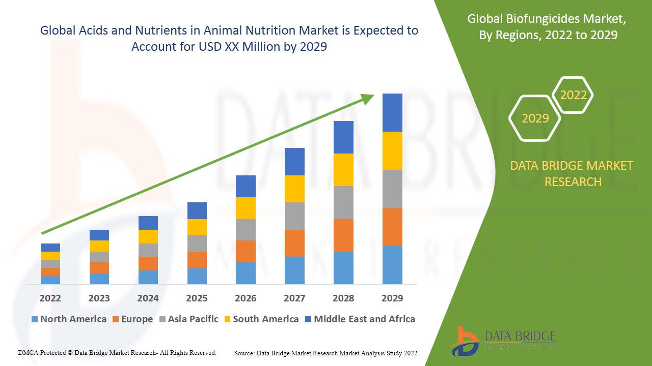 Acids and Nutrients in Animal Nutrition Market