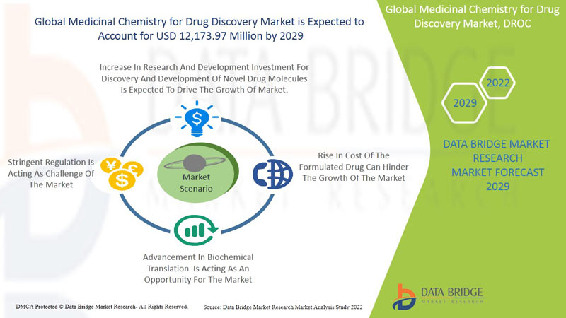 Medicinal Chemistry for Drug Discovery Market