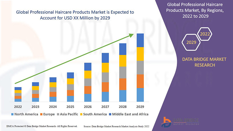 Professional Haircare Products Market