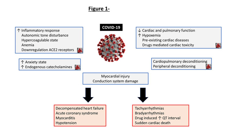 Covid-19 Impact On Vasoconstrictor Drug Market In Healthcare Industry