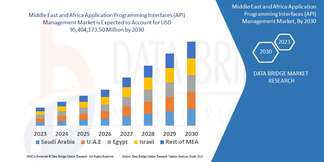 Middle East and Africa Application Programming Interfaces (API) Management Market