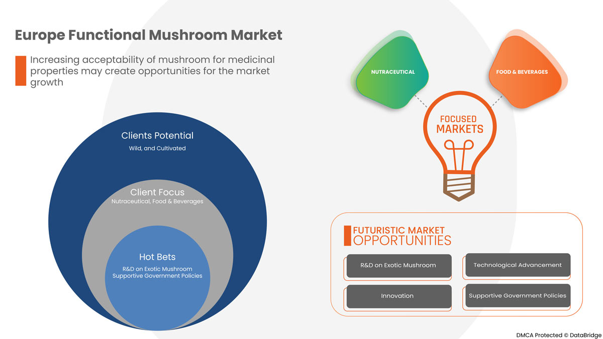 Functional Mushroom Market