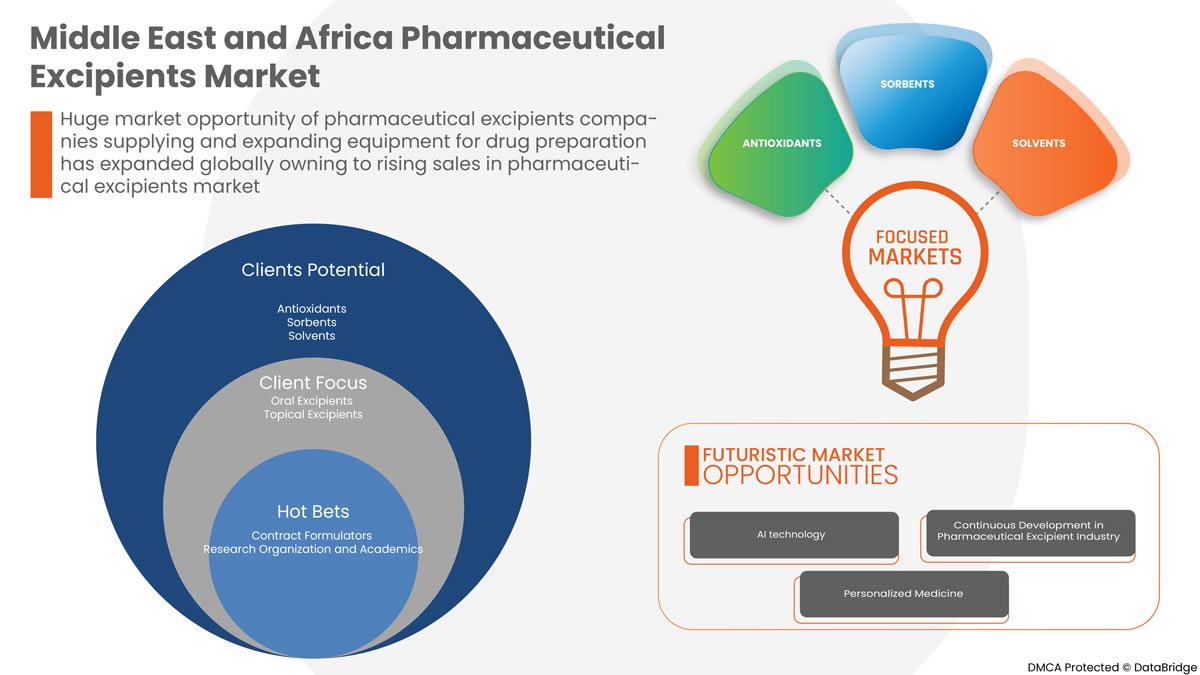 Middle East and Africa Pharmaceutical Excipients Market