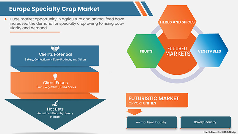 Europe Specialty Crop Market