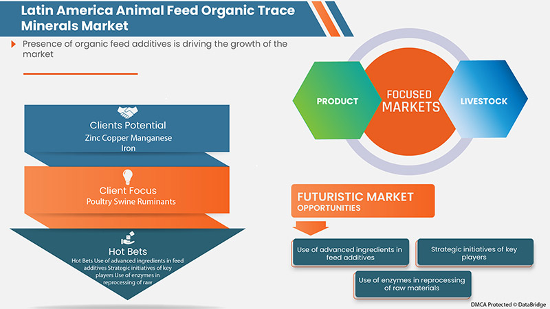 Latin America Animal Feed Organic Trace Minerals Market