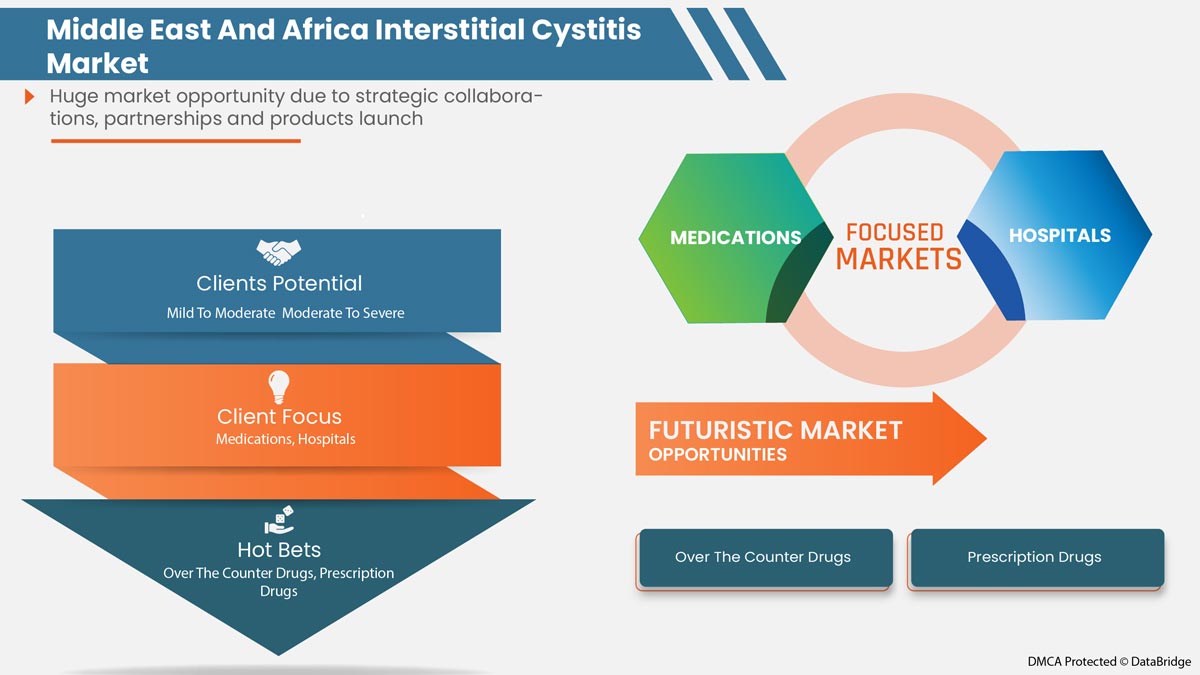 Middle East and Africa Interstitial Cystitis Market