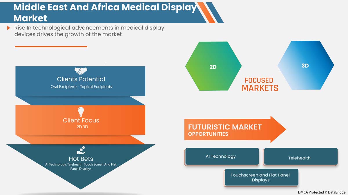 Medical Display Market