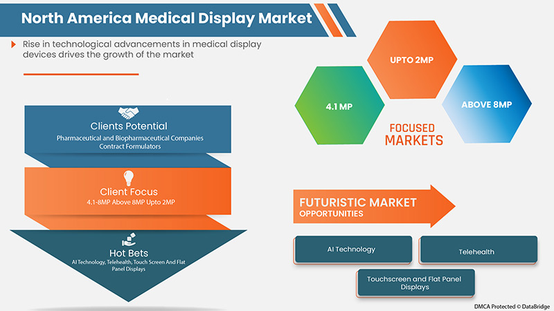 North America Medical Display Market