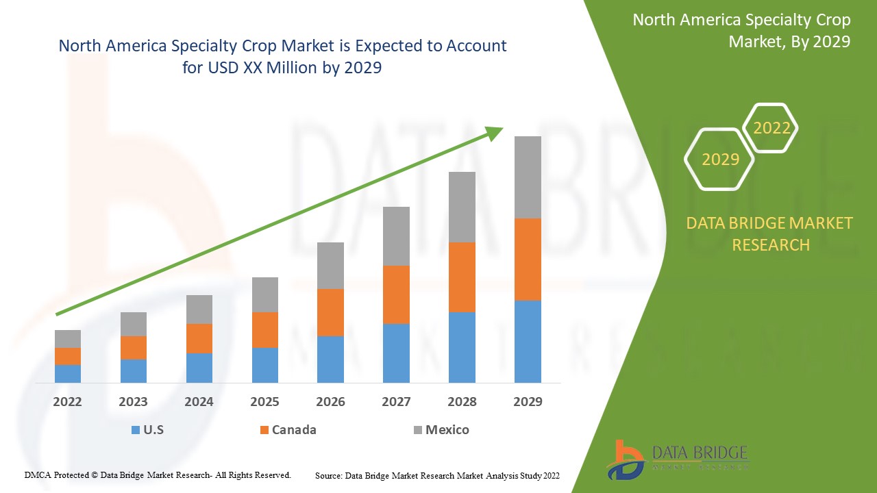 North America Specialty Crop Market Dimension and Forecast| Banabay, Rice Fruit Firm, Fisher Nut Firm