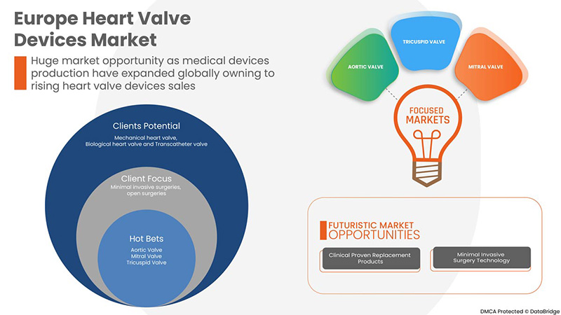 Heart Valve Devices Market