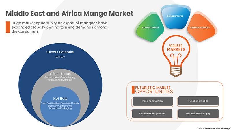 Middle East and Africa Mango Market