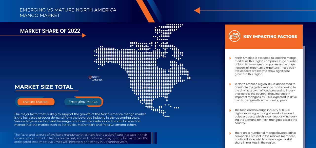 North America Mango Market