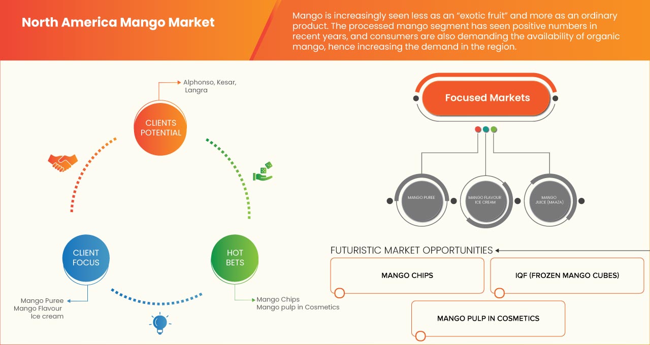 North America Mango Market