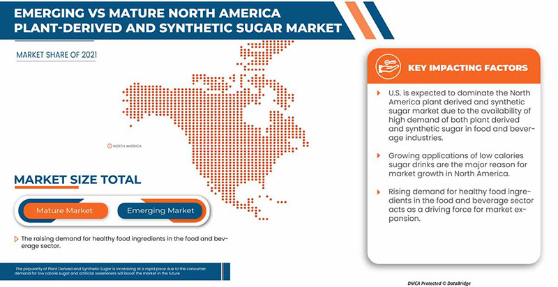 North America Plant-Derived and Synthetic Sugar Market