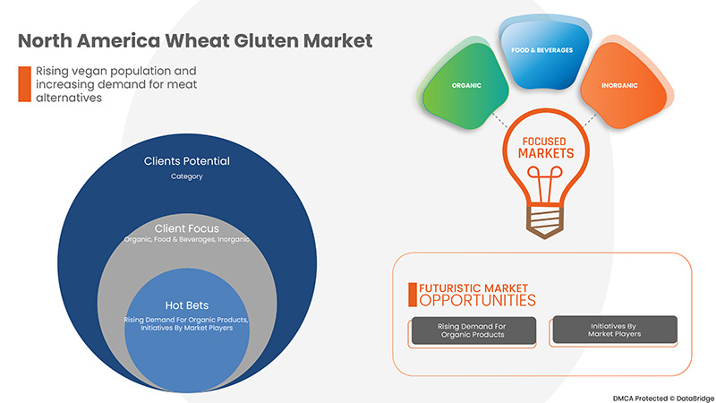 Wheat Gluten Market