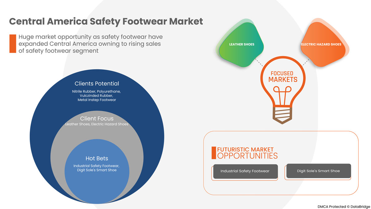 Central America Safety Footwear Market