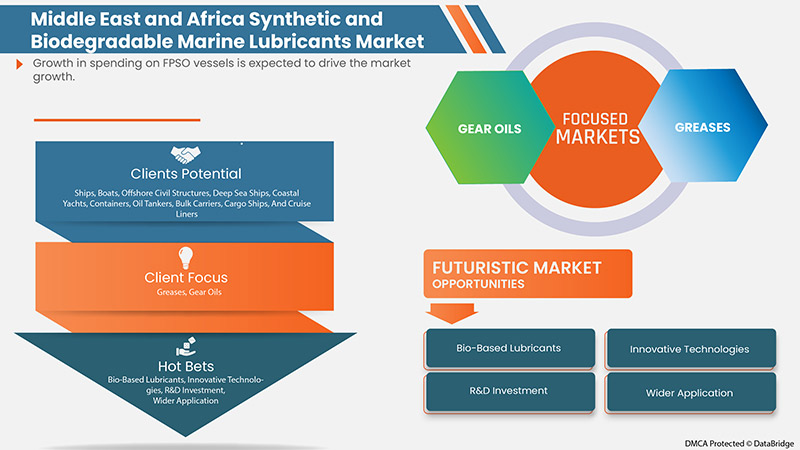 Middle East and Africa Synthetic and Biodegradable Marine Lubricants Market