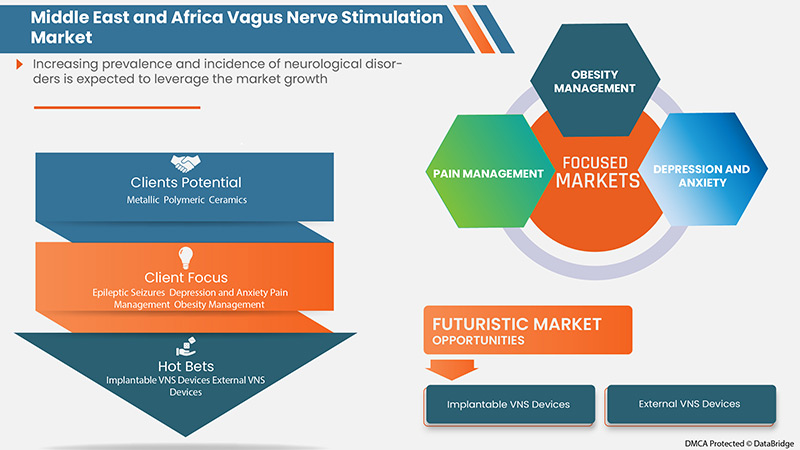 Middle East and Africa Vagus Nerve Stimulation Market