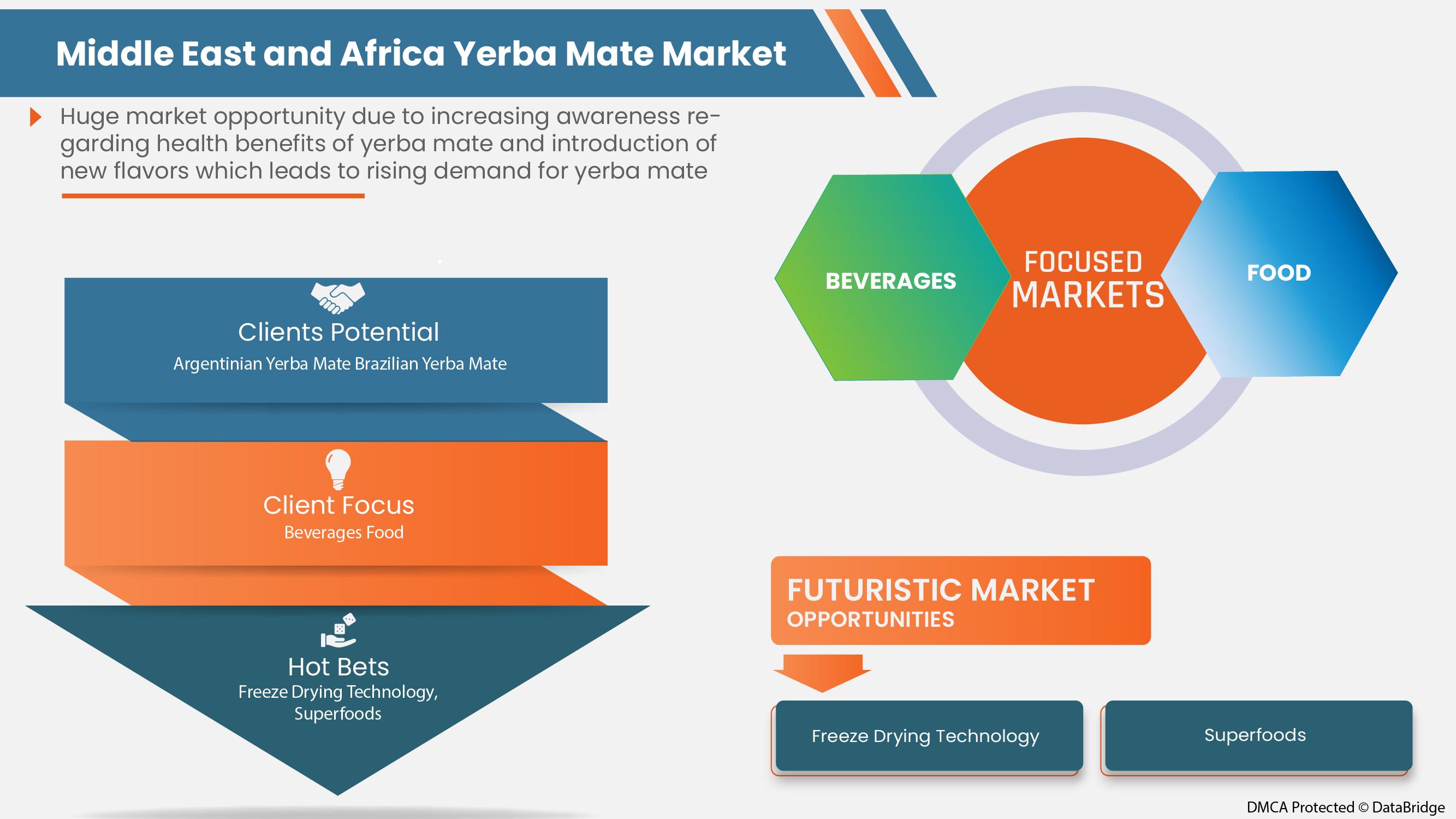 Middle East and Africa Yerba Mate Market