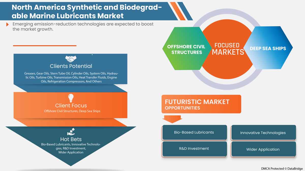 North America Synthetic and Biodegradable Marine Lubricants Market
