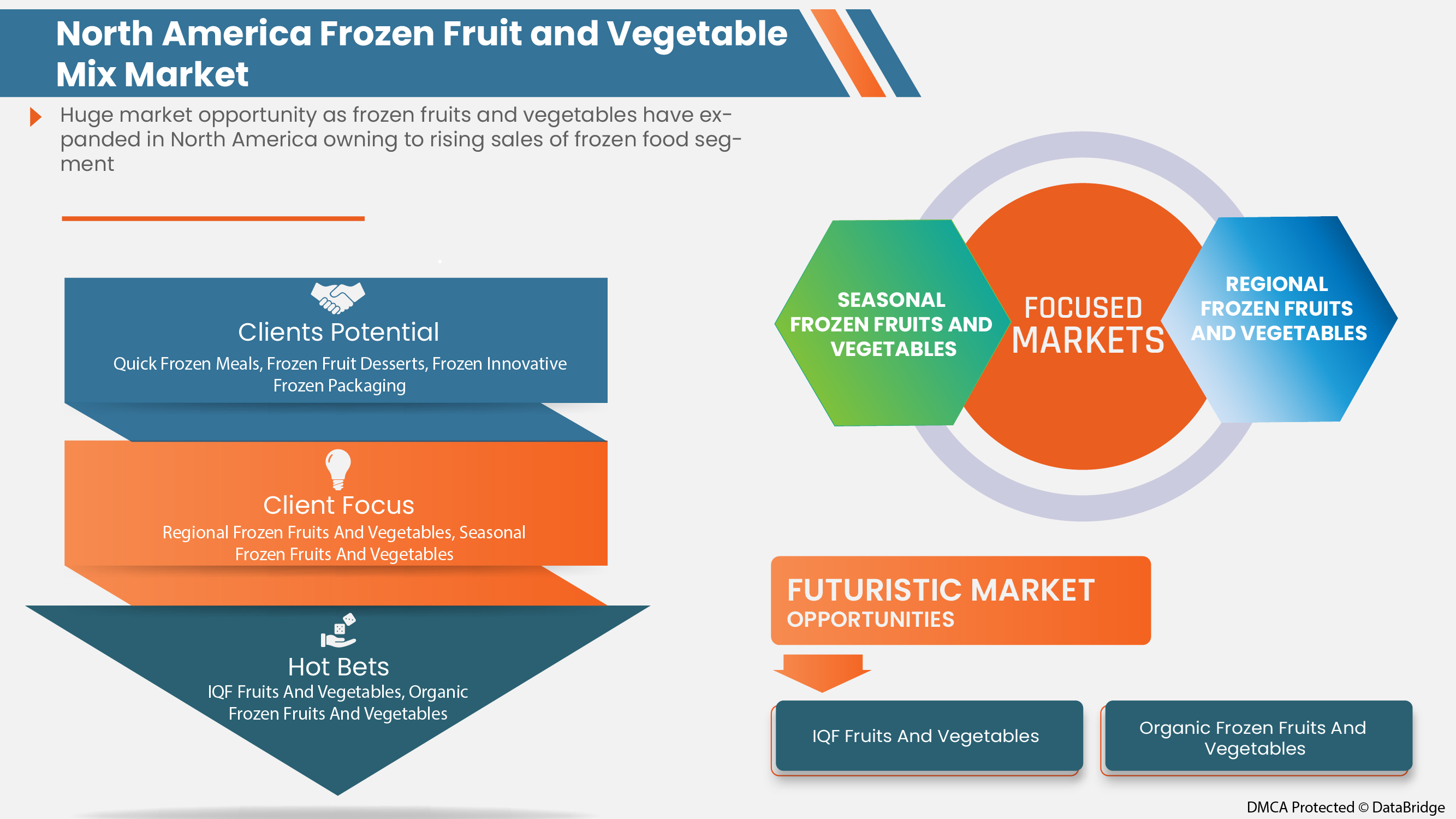 Frozen Fruit and Vegetable Mix Market