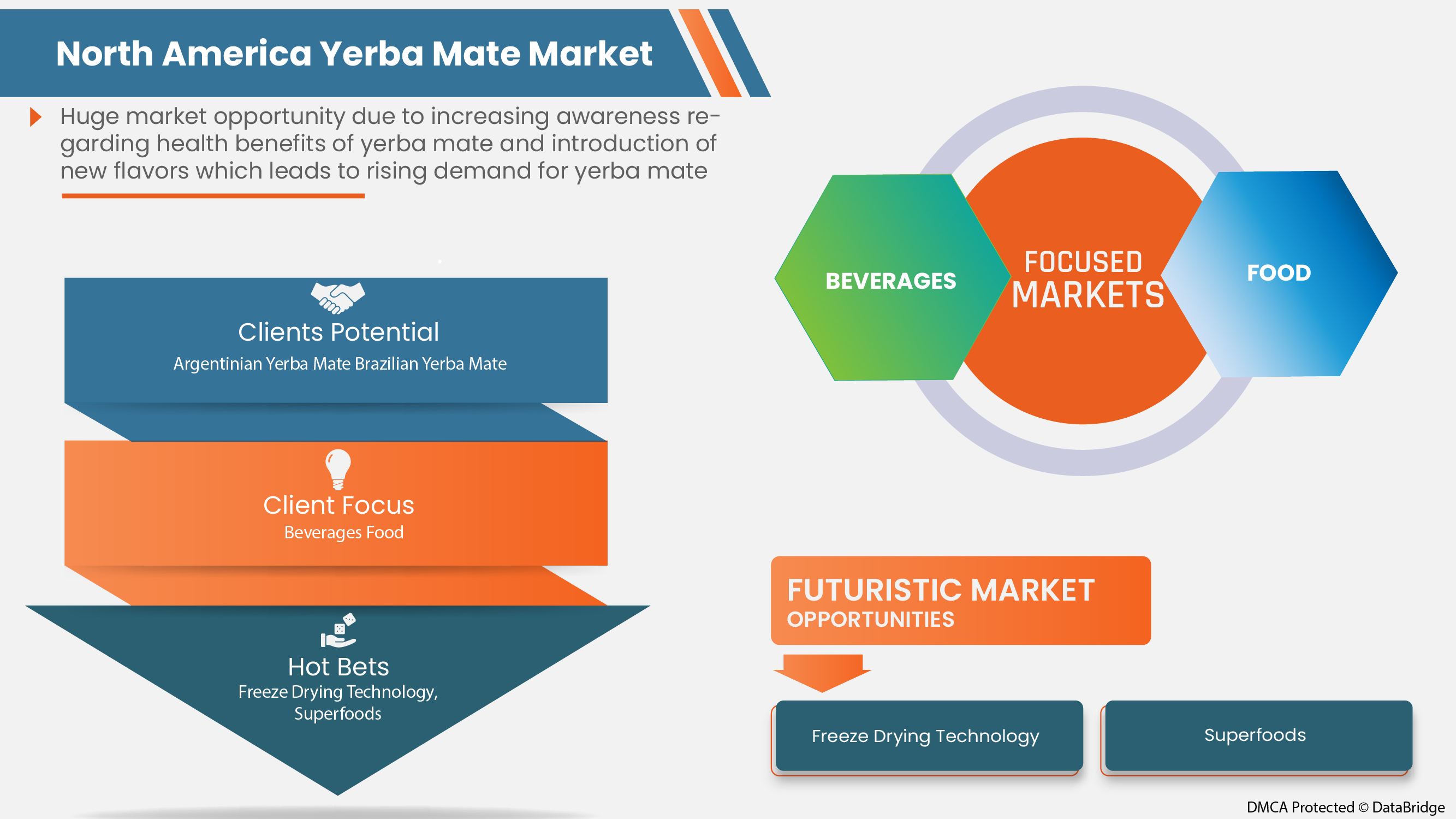 North America Yerba Mate Market